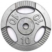 Диск 10 кг железный Ø26 мм